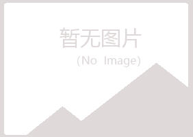 岐山县洒脱工程有限公司